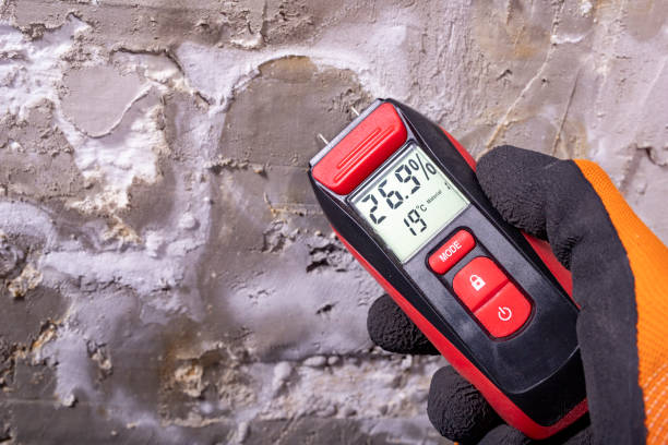 Best Crawl Space Mold Remediation in Von Ormy, TX