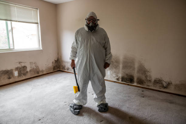 Best Commercial Mold Remediation in Von Ormy, TX